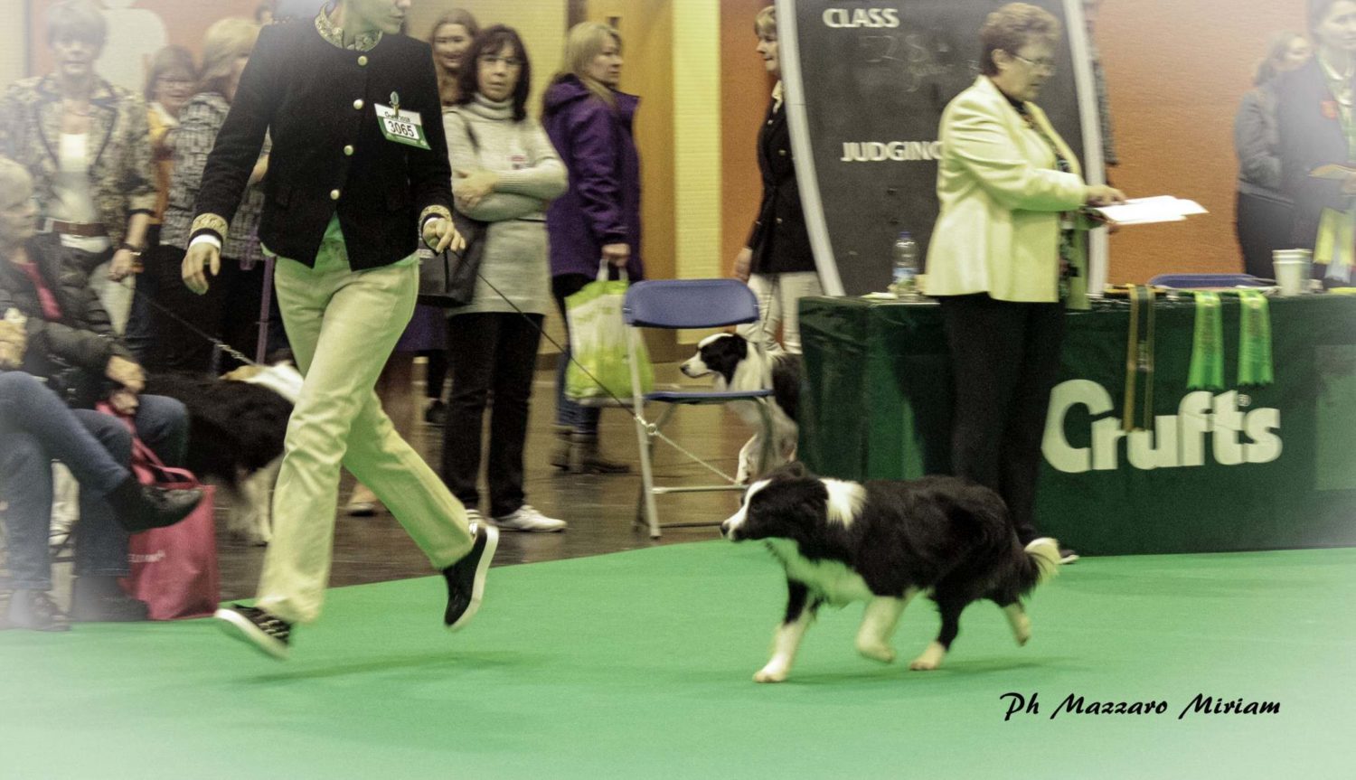 Crufts 8 Marzo 2018: Un Giorno tutto da ricordare!!!