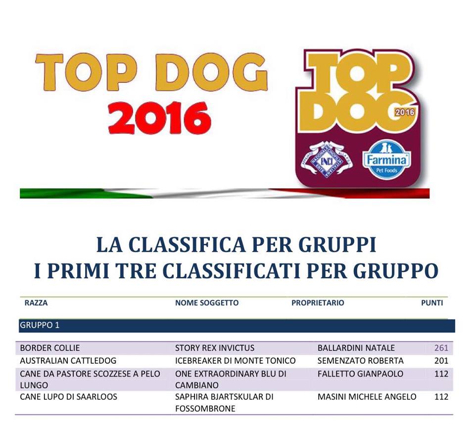 Romeo 1° classificato del Gruppo 1 per il concorso TOP DOG 2016