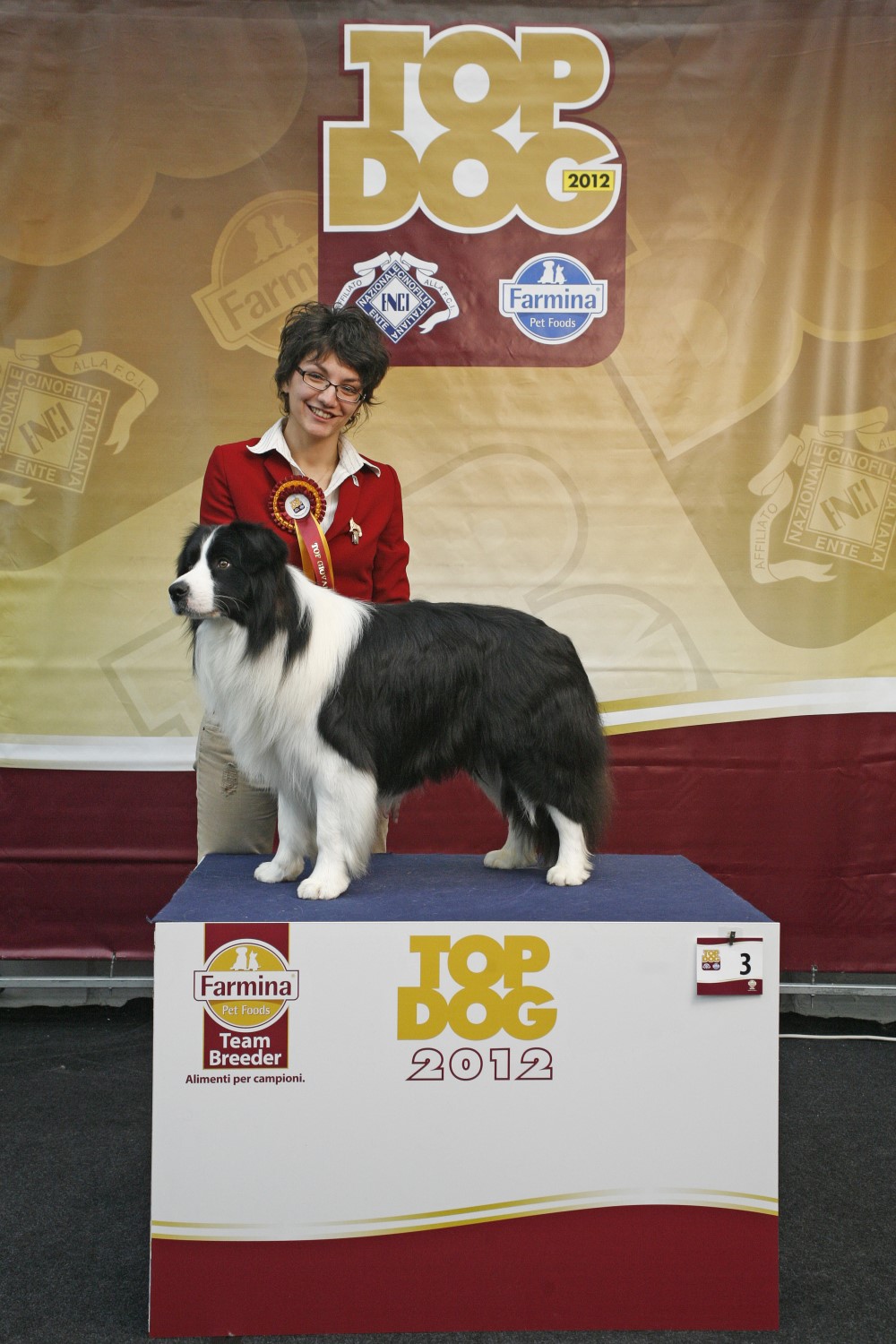 Harry TOP DOG GIOVANE 2012